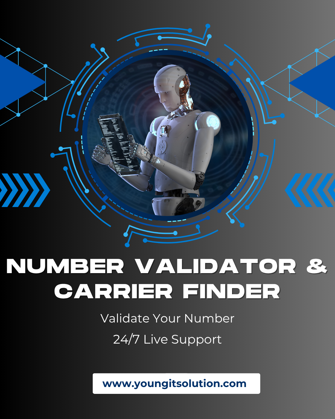 Number Validator & Carrier Finder Software